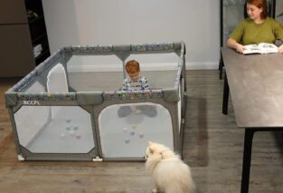 bccpl baby playpen review
