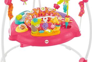 fisher price baby bouncer pink petals jumperoo activity center review
