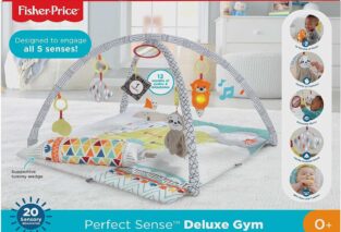 fisher price baby playmat perfect sense deluxe gym review