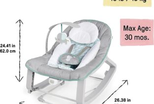 ingenuity keep cozy baby bouncer review