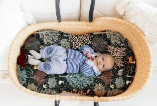 jundetye newborn lounger cover review