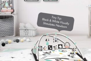 tiny love black white gymini infant activity play mat review